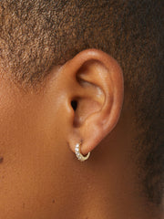 Huggie Hoop Earrings - Suzanne