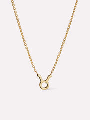 Zodiac Necklace - Zodiac Necklace