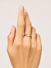 Gold Band Ring - Gold Signet Ring