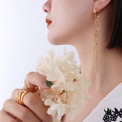 Heart Chain Tassel Drop Earrings