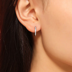 Cubic Zirconia Small Stainless Steel Hoop Earrings