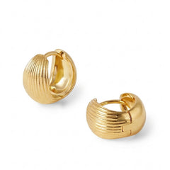 Nicolette Shell Shell Stud Earrings