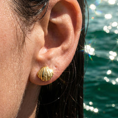 Textured Shell Stud Earrings
