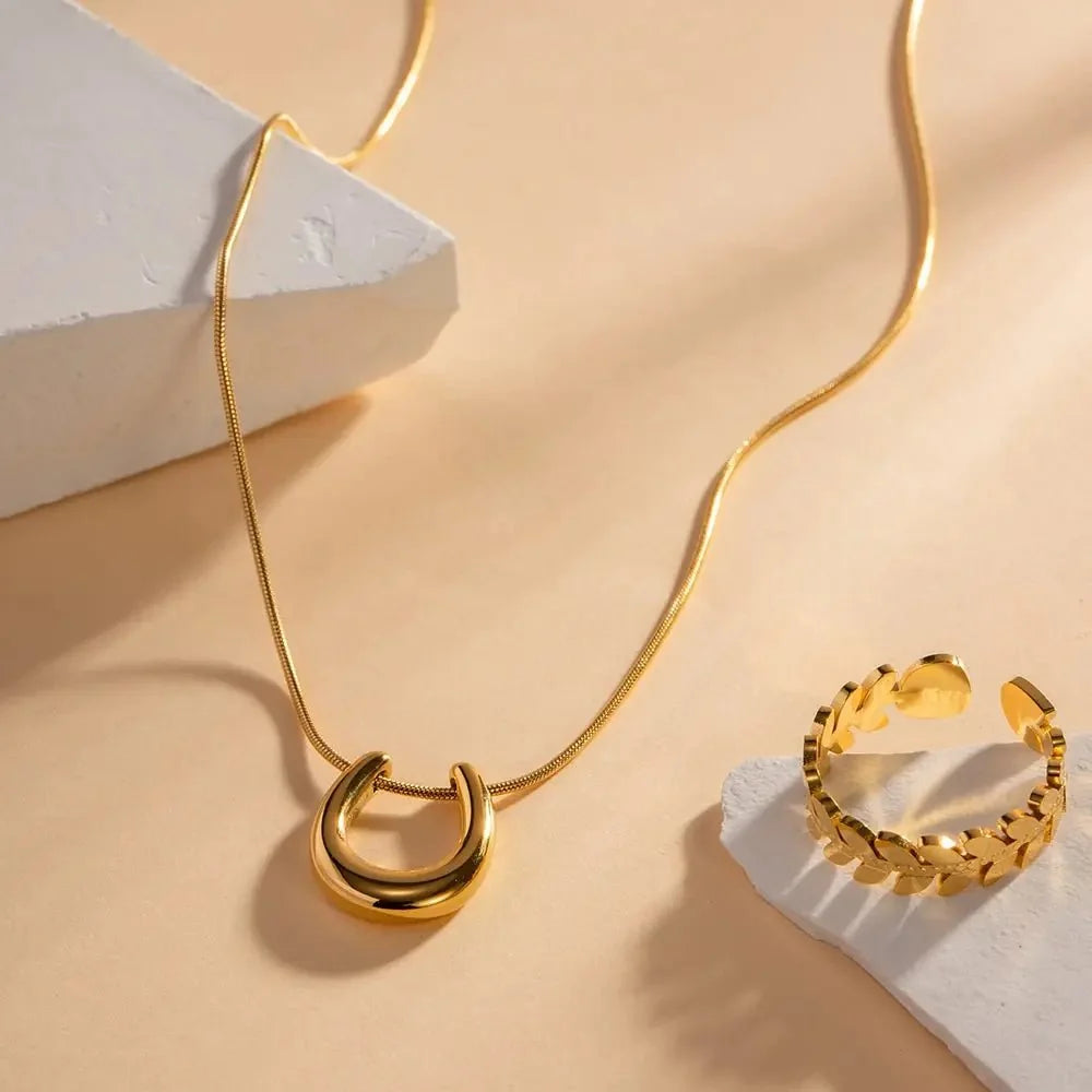 Dainty Lucky Horseshoe Necklace - Veinci
