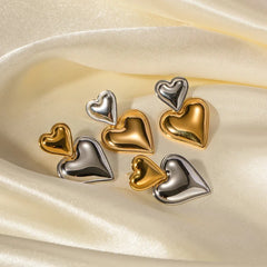 Two Tone Accented Heart Earrings - Veinci