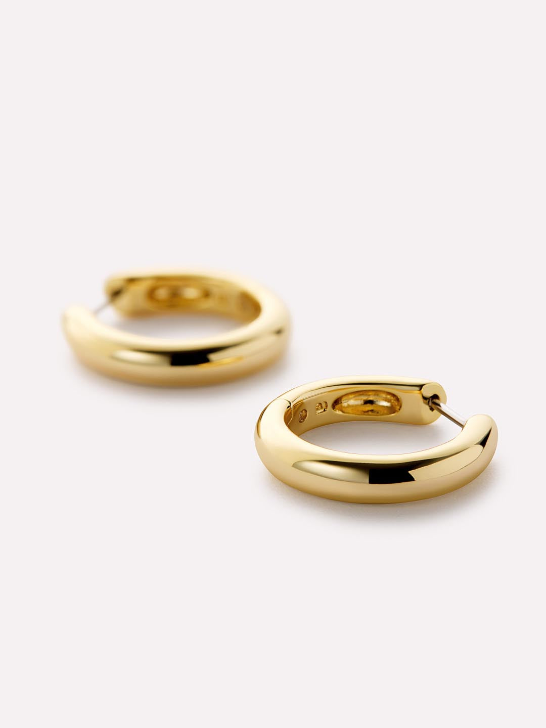 Ana Luisa Giulia Hoop Earrings