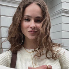 Louvres Earrings