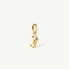 Seahorse Charm