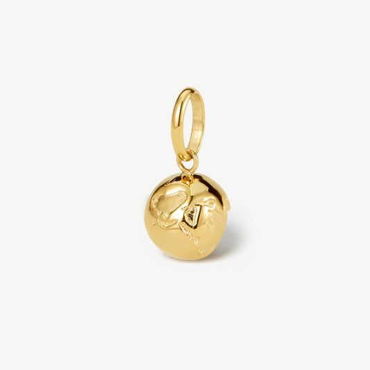 Globe Charm