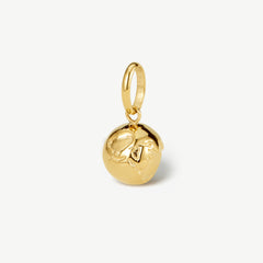 Globe Charm