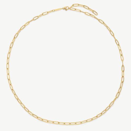 Extended Paperclip Necklace