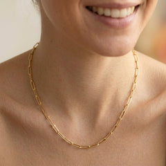 Paperclip Necklace
