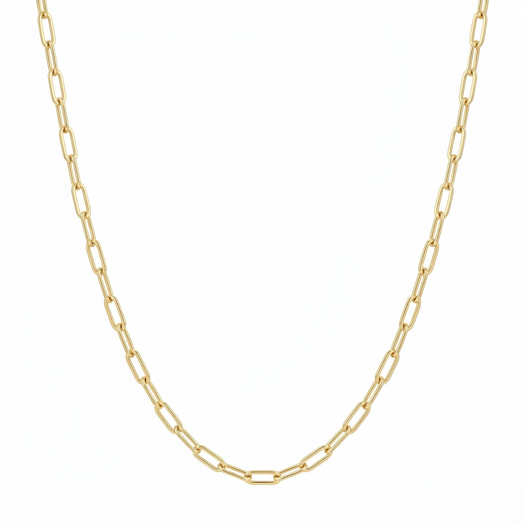 Paperclip Necklace